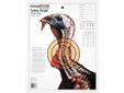 Life-Size Turkey Target (12 pack)Turkey Sight-In Paper TargetsNow you can check the patterning of your turkey loads. Aim and shoot at the vital zone indicated on the target. Count the number of pellet holes on the vital zone to determine if your gun or