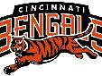 Book cheaper Cincinnati Bengals 2014 regular season tickets for all home games at Paul Brown Stadium in Cincinnati, OH.
To get your cheaper Cincinnati Bengals regular season tickets packages at cheaper price you would need to add the discount code