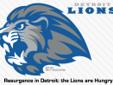 Book cheaper Detroit Lions 2014 regular season tickets for all home games at Ford Field in Detroit, MI.
To get your cheaper Detroit Lions regular season tickets packages at cheaper price you would need to add the discount code TIXCLICK5 at checkout where