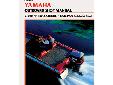 Yamaha 2-250 HP Two-Stroke Outboards and Jet Drives, 1990-1995Part #: B784720 pages QUICK REFERENCE DATACHAPTER ONE / GENERAL INFORMATIONManual organization / Notes, cautions and warnings / Torque specifications / Engine operation / Fasteners / Lubricants
