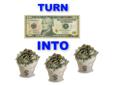If you want to Turn a $10.00 Bill into MULTIPLE $10.00 Bills, read closeley!
This offer has been doing so well it may not even be around for much longer!
If you are wanting to earn some Extra Money for the holidays while Building Yourself a List,
then you