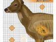 "
Champion Traps and Targets 45902 Deer Target 25X25(6/Pk)
XRAY Paper Deer Target 25"" x 25"" (6pk)
These large, 4-color targets feature x-ray anatomy to help shooters understand and visualize an animal's vitals zone. By learning the anatomy of an animal,