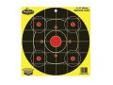 "
Birchwood Casey 35912 Dirty Bird Chartreuse Bull's Eye Target 12"", Per 4
Birchwood Casey Dirty Bird 12 Round Bullseye 4/Pack"Price: $2.7
Source: http://www.sportsmanstooloutfitters.com/dirty-bird-chartreuse-bulls-eye-target-12-per-4.html