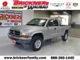 Brickner's of Wausau
2525 Grand Avenue, Wausau, Wisconsin 54403 -- 877-303-9426
2001 Dodge Dakota SLT Pre-Owned
877-303-9426
Price: $9,499
Call for any questions on finacing.
Click Here to View All Photos (9)
Call for any questions on finacing.