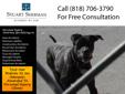 Dog Bite Lawyer -Viscous Animal Bite Attorney Ventura County
Stuart Sherman Attorney At Law specializes dog and animal bites. If you have been attacked and injured by a dog or other domestic animal you may be entitled to compensation for your injuries.