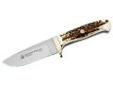 "
Puma 6816050 Elk Hunter Stag/German Bld
The Elk Hunter Stag-Handled knife is handcrafted from high-grade 440C steel and each .14 inch-thick blade bears the distinctive ""diamond needle"" proof mark of a Rockwell Hardness tester that verifies the proper