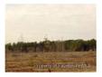 City: Fayetteville
State: Nc
Price: $360000
Property Type: Farms and Ranches
Agent: TIM EVANS
Contact: 910-867-2116
27 ACRES OF PRIME REAL ESTATE IN THE JACK BRITT SCHOOL DISTRICT. THIS SITE IS IDEAL FOR A SMALL SUBDIVISION, ENTERING FROM AN EXISTING