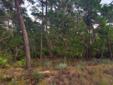 FORECLOSURE Land at Wild Heron ~1745 Lost Cove Lane
Location: Panama City Beach, FL
FORECLOSURE Lot in the beautiful Wild Heron community! This lot is over a half acre, sized at .610 acres and backs up to a natural, wooded conservation area. Sold for