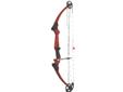 Genesis Original Bow OnlyThe Genesis System combines "zero let-off" with light draw weights (adjustable from 10 lbs. to 20 lbs.) to create a bow that covers all standard draw lengths and fits virtually everyone.The Genesis System, by elimination let-off