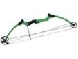 "
Genesis 10479 Genesis Original Bow Left Handed, Green, Bow Only
Genesis Original Bow
Features:
- Color: Green
- Brace Height: 7 1/2""
- Axle-to-axle: 36""
- Weight: 3.4 lbs.
- Quick replacement flipper style rest.
- Kids can't outgrow it - because there