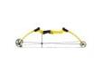 "
Genesis 10473 Genesis Original Bow Left Handed, Yellow, Bow Only
Genesis Original Bow
Features:
- Color: Yellow
- Brace Height: 7 1/2""
- Axle-to-axle: 36""
- Weight: 3.4 lbs.
- Quick replacement flipper style rest.
- Kids can't outgrow it - because