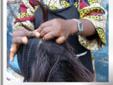 Do you want to know more about Hair braiding? Would you like to know how to braid hair? Would you like to see different African hairstyles?
Get our E-Book "An Introduction to African hair braiding".
This is the first in a series of publications about