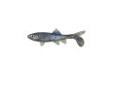"
Berkley 1289540 Havoc Sick Fish, 3"" Disco Shad
Skeet Reese designed, The Sick Fish Jr.â¢ is a super realistic looking bait that swims great at slow speeds and high speeds. The Sick Fish Jr. is also perfect for the Berkley Schooling Rig.
Specifications: