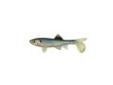 "
Berkley 1289541 Havoc Sick Fish, 3"" Ghost Minnow
Skeet Reese designed, The Sick Fish Jr.â¢ is a super realistic looking bait that swims great at slow speeds and high speeds. The Sick Fish Jr. is also perfect for the Berkley Schooling Rig.