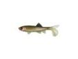 "
Berkley 1289543 Havoc Sick Fish, 3"" Green Penny
Skeet Reese designed, The Sick Fish Jr.â¢ is a super realistic looking bait that swims great at slow speeds and high speeds. The Sick Fish Jr. is also perfect for the Berkley Schooling Rig.
