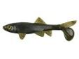 "
Berkley 1280559 Havoc Sick Fish, 4"" Green Pumpkin
Skeet Reese designed, The Sick Fishâ¢ is a super realistic looking bait that swims great at slow speeds and high speeds. The Sick Fish is also perfect for the Berkley Schooling Rig.
Specifications:
-