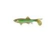 "
Berkley 1289555 Havoc Sick Fish, 5.5"" Light Hitch
Skeet Reese designed, The Papa Sick Fishâ¢ is a super realistic looking bait that swims great at slow speeds and high speeds. The Papa Sick Fish is also perfect for the Berkley Schooling Rig.