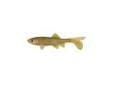 "
Berkley 1289556 Havoc Sick Fish, 5.5"" Swamp Gas
Skeet Reese designed, The Papa Sick Fishâ¢ is a super realistic looking bait that swims great at slow speeds and high speeds. The Papa Sick Fish is also perfect for the Berkley Schooling Rig.