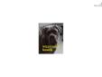 Price: $450
This advertiser is not a subscribing member and asks that you upgrade to view the complete puppy profile for this Neapolitan Mastiff, and to view contact information for the advertiser. Upgrade today to receive unlimited access to
