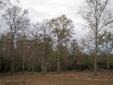 Contact the seller
Pretty 2.13 Acres located in NE Tallahassee just off Hwy 12 about a mile west of Meridian Road. Hawks Rise, Deerlake, and Chiles school zone. Property has beautiful trees, a nice roll to it, and has been cleared for a home or mobile