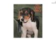 Price: $450
Itsy is an AKC/UKC registered Treeing Walker Coonhound pup. Demon (daddy) is a Grand Show Champion with numerous nite and grandnite champions is his pedigree. He goes back to Grandnite, Grand Champion House's Lipper and Nocturnal Nailor. Ice