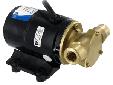 Bronze AC Motor Pump UnitFlow rate: 3.4 USgpm, maximum head 40ft (17.3psi)Self-priming from dry up to 4.9ftFeatures: Easy to service and maintain.Will tolerate abrasive wear (this may affect performance - seek advice from your distributer).Handles hard