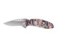 Kershaw's colorful Scallions are designed to meet the needs of the knife user who wants SpeedSafe technology in a smaller carrying knife. All Ken Onion Scallions feature SpeedSafe, plus tip safety lock. The attractive coloration is created in the