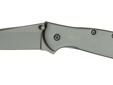 The Leek series includes some of Kershaw's most popular knives. And no wonder. Kershaw's Leeks offer Ken Onion's distinctive design as well as the SpeedSafe ambidextrous assisted opening system. With SpeedSafe, the user can smoothly and easily deploy the