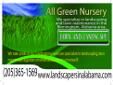 Professional and Do-It-Yourself landscapers should visit Allgreen Nursery for varieties of quality trees, shrubs, and evergreens at our Allgreen Nursery at Pell City, Alabama. Allgreen Nursery has all the landscaping plants, tools, hardware and supplies