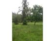 Level Shy 5 Acres with Water and Power !!
Location: Orting , WA
Rare find nice level 4.590 parcel with water and power, Partially cleared and ready to build , Plenty of privacy here, Easy commute to the city. Property backs up to Kapowsin creek for added