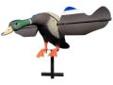 "
Lucky Duck (by Expedite) 21-49007-5 Lucky Duck, Drake
The Motorized Rotating Wing Decoy Drake with Timer looks like the real thing from the air. It will attract the flock to land right along side of it.
- Now Includes Intermittent Timer
- Plug & play