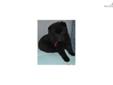 Price: $800
This advertiser is not a subscribing member and asks that you upgrade to view the complete puppy profile for this Schipperke, and to view contact information for the advertiser. Upgrade today to receive unlimited access to NextDayPets.com.