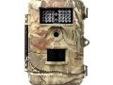 "
Bushnell 119446C 8MP Trophy Cam Bone Collector Cam Night Vision Field Scan, Clam
The 2011 Trophy Camâ¢ is super-tuned with advancements that'll turn the industry, and that big deer, on its ear. It's still leading the way with an awesome 1-year battery