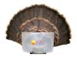 Most turkey hunters want to mount the fantail of the gobblers they take as trophies, or to use as decoys in future hunting. MOJO?sÂ® motion decoy line allows the hunter to substitute a real turkey fan for the artificial one provided. The MOJOÂ® Fan Press is