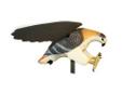 Mojo Decoys MOJO Hawk HW4310
Manufacturer: Mojo Decoys
Model: HW4310
Condition: New
Availability: In Stock
Source: http://www.fedtacticaldirect.com/product.asp?itemid=46706