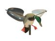 Mojo Decoys Wind Duck HW7301
Manufacturer: Mojo Decoys
Model: HW7301
Condition: New
Availability: In Stock
Source: http://www.fedtacticaldirect.com/product.asp?itemid=46762