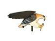 "
Mojo Decoys HW4310 MOJO Hawk
The MOJO Hawk predator hunting decoy was developed to add another dimension to predator calling. It is used by placing the hawk above a wounded prey decoy and an electronic caller to give the predator the sense that a bird