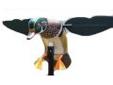Mojo Decoys HW2302 MOJO Screamin' Woody
The MOJO Screamin' Woody is a MOJO realistic duck species spinning wing decoy for the duck hunter.
Features:
- A realistic looking wood duck drake body
- A patented MOJO Mounting Peg
- A 3-piece support pole
- The