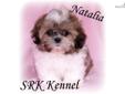 Price: $400
What can you say about Natalia? She is an amazing little girl that will bring a ray of sunshine into anyone?s heart. She is a delightful little lady with so much charm and personality. Natalia is a bit sassy and she loves to play and cuddle,