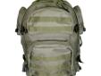 Tactical Back Pack, GreenSpecifications:- Main compartment dimensions: 18? H x 12? W x 6? D- Side pockets, two on each side: 5? H x 5? W x 1Â½? D- Front pockets: Top 8? H x 4Â½? W x 2? D & Bottom 9Â½?H x 9Â½?W x 3? D- PALS compatible webbing on the front