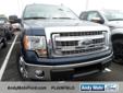 2014 Ford F-150
$41732
Additional Photos
Vehicle Description
4WD. Kicks noise to the curb. This vehicle keeps its nose to the grindstone. There isn't a better truck than this reliable 2014 Ford F-150. Don't let the drumming of road noise wear you down.