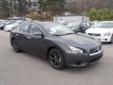 Serra Nissan (Alabama)
Serra Nissan (Alabama)
Asking Price: Call for Price
Rated #1 for Friendly Professional Salespeople
Contact at 205-856-2544 for more information!
Click here for finance approval
2012 Nissan Maxima ( Click here to inquire about this