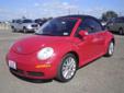 2008 Volkswagen New Beetle Convertible
Payne Mission
2003 E. Expressway 83
Mission, TX 78572
Call for an Appt! (956) 688-8987
Photos
Vehicle Information
VIN: 3VWRF31Y78M416502
Stock #: T416502
Miles: 41197
Engine: Gas I5 2.5L/151
Trim: SE
Exterior Color: