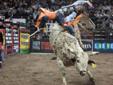 PBR - Professional Bull Riders Tickets
06/20/2015 7:00PM
Bismarck Civic Center
Bismarck, ND
Click Here to Buy PBR - Professional Bull Riders Tickets