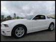 .
2013 Ford Mustang
$23900
Call (850) 396-4132 ext. 339
Astro Lincoln
(850) 396-4132 ext. 339
6350 Pensacola Blvd,
Pensacola, FL 32505
Easy Pricing policy! No gimmicks or tricks. Simple process and all prices clearly marked. SUPER SHARP MUSTANG!!.....LOW