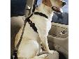 The PetBuckle Seat Belt Harness provides protection for a dog in a standard vehicle by using the vehicle's seat belt, LATCH bar system or cargo area to securely restrain a harnessed dog. Just slip the seat belt through the web loop on the harness and