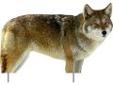 "
Extreme Dimension Wildlife ED-PD-512 Phantom Decoy Coyote
These decoys are printed on both sides in high definition (HD) on scratch and UV resistant plastic. They roll up for easy transport. When set up the natural curvature presents a 3-dimensional
