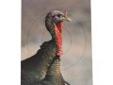 "
Birchwood Casey 35403 Pregame Targets Turkey, 12"" x 18"" Target (Per 8)
It's the middle of the night and the sound of breaking glass shatters the stillness. Are you prepared for what comes next? If you put the proper amount of time on the lane