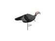 The Upright Jake from Primos is a great addition to your current decoy set-up. The Upright Jake paired along with a hen will get a weary gobbler's attention and bring him in looking for a fight.The Upright Jake is made from a lightweight durable rubber