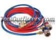 "
FJC, Inc. 6448 FJC6448 R134a Red and Blue Hose Set with Manual Couplers
Features and Benefits:
10 feet
"Price: $72.59
Source: http://www.tooloutfitters.com/r134a-red-and-blue-hose-set-with-manual-couplers.html